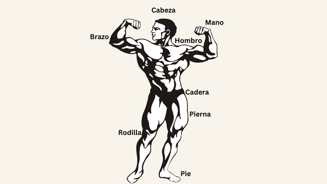 A man flexing his arms with descriptive words in Spanish