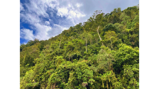 A short boat tour in Tingo Maria