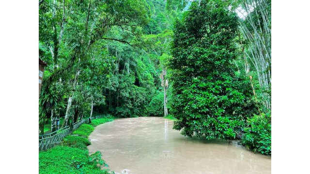 The rivers in Tingo Maria are gorgeous 