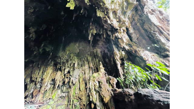 Cueva de las Lechuzas