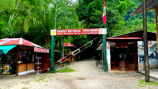 Parque Nacional Tingo Maria