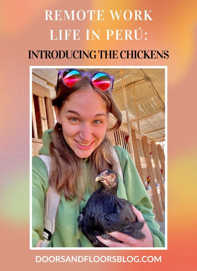 Remote Work Life in Perú: Introducing The Chickens